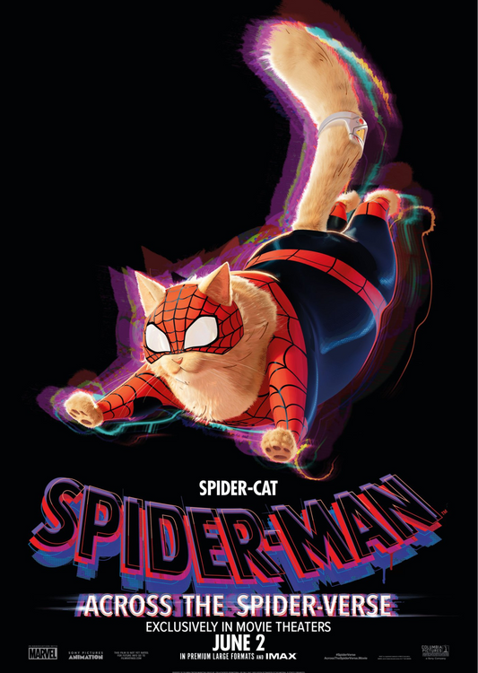 Spider-Cat